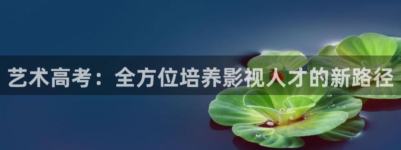 51视频下载安装：艺术高考：全方位培养影视人才的新路径
