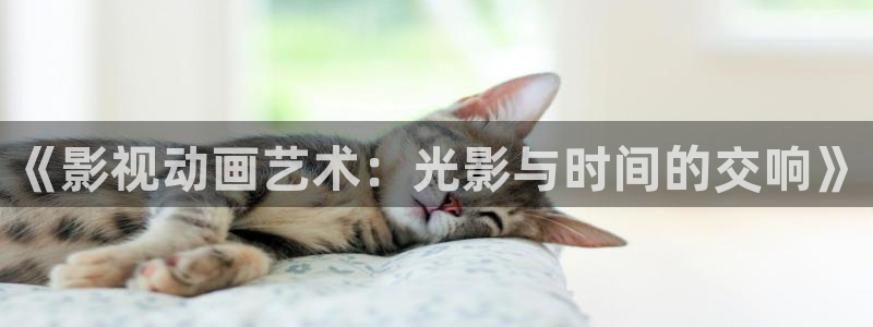 51视频高清：《影视动画艺术：光影与时间的交响》