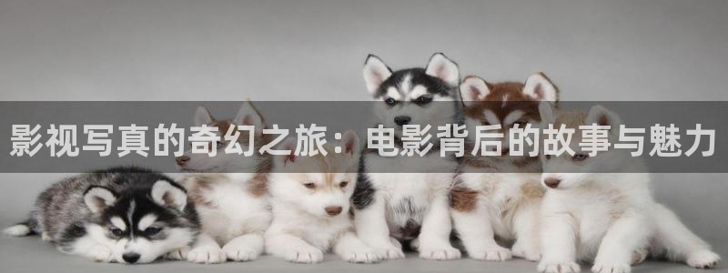 51视频视频在线观看：影视写真的奇幻之旅：电影背后的故事与魅力