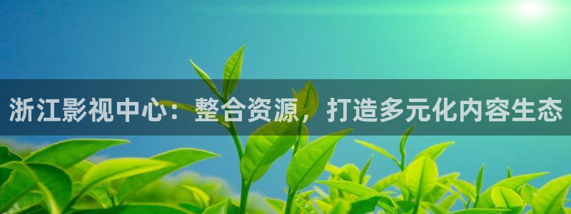 51视频精品全部免费导航：浙江影视中心：整合资源，打造多元化内容生态